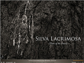 Silva Lacrimosa PDF
